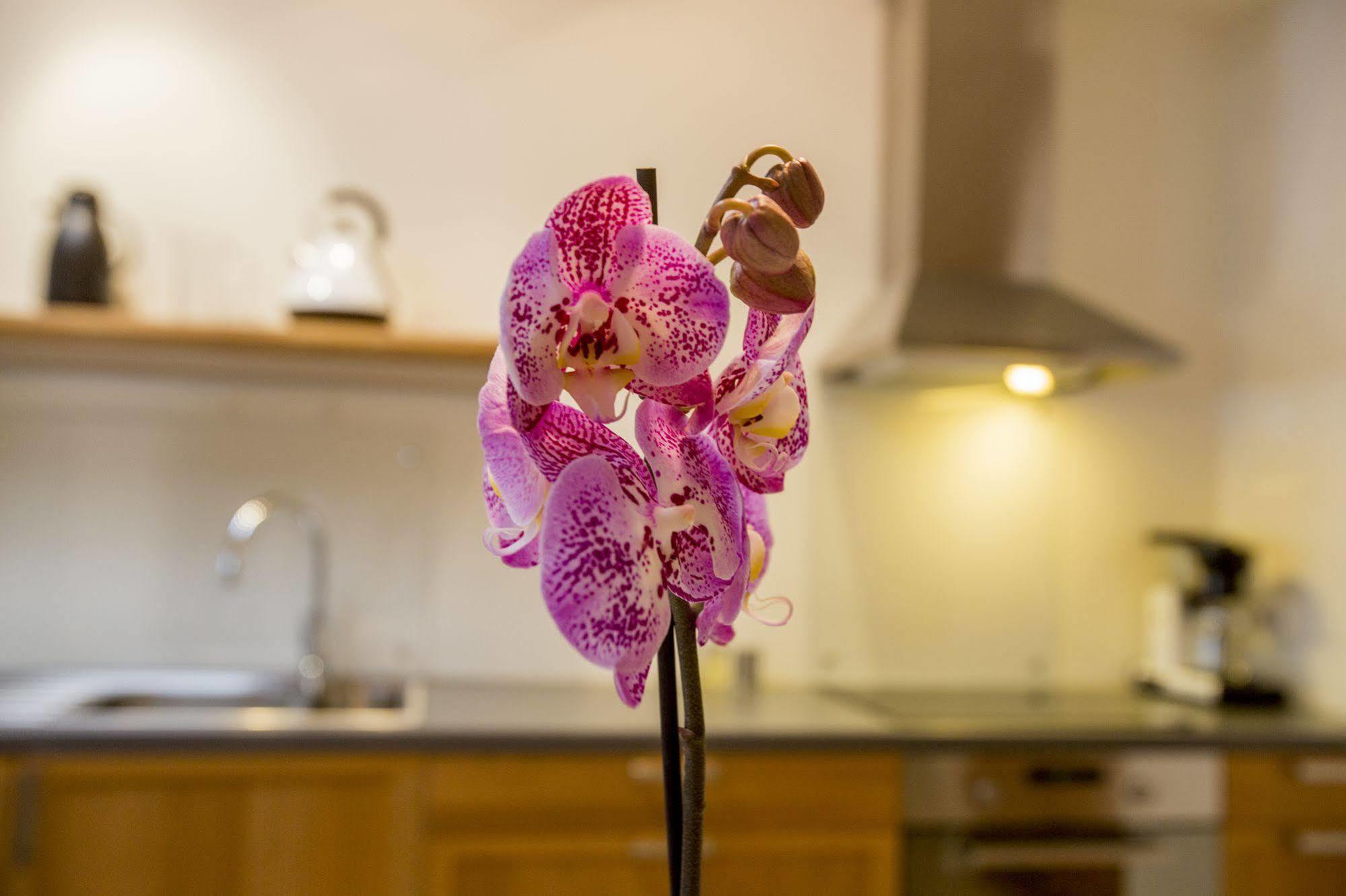 Bjorvika Apartments - Solvberggata 17 สตาวังเงร์ ภายนอก รูปภาพ